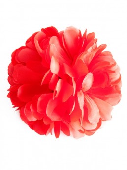 Spanische Haarblume rot, extragroß