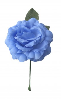 Spanische Flamencorose, blau