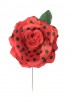flamenco roos stippen bg1