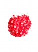 Haarbloem rood met witte stippen